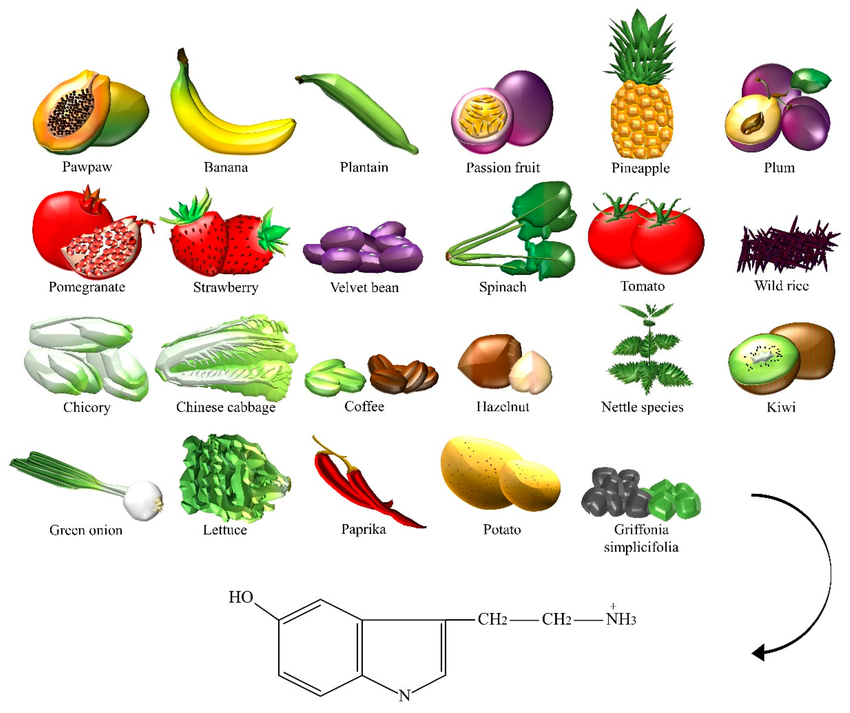 Get to know 6 foods that help increase serotonin levels in the body.